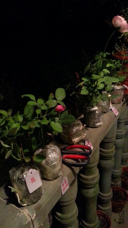 20140917_193530.jpg