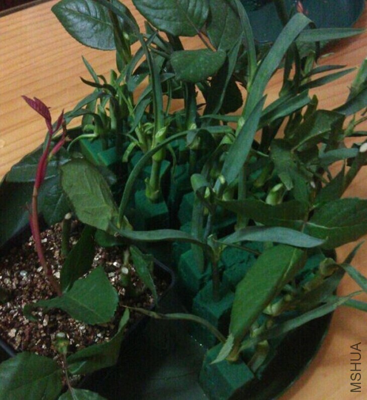 QQͼƬ20140917214649.jpg