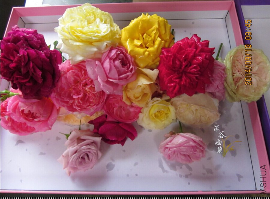 QQͼƬ20140918103321.jpg