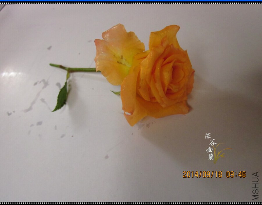 QQͼƬ20140918103324.jpg