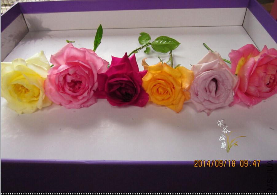 QQͼƬ20140918103327.jpg