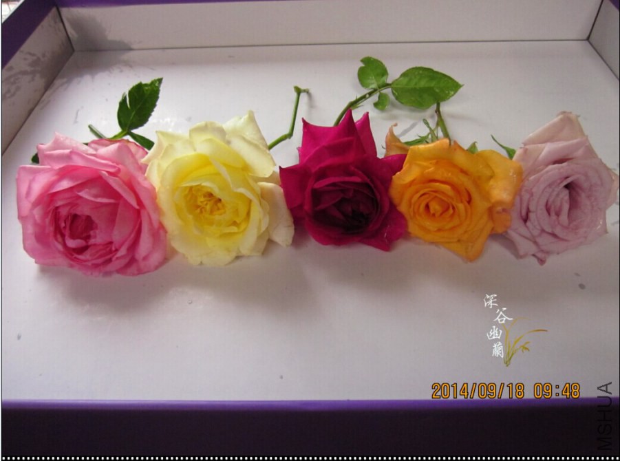 QQͼƬ20140918103331.jpg
