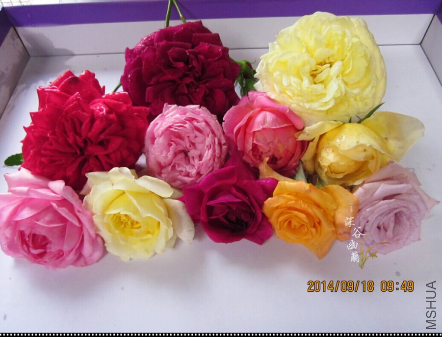 QQͼƬ20140918103334.jpg