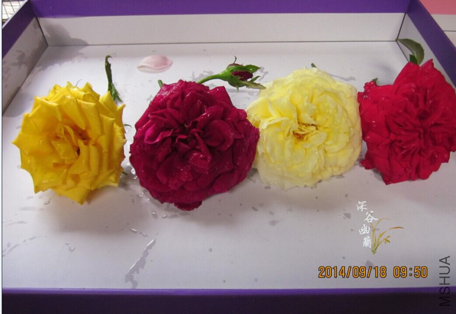 QQͼƬ20140918103337.jpg