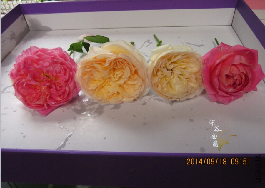 QQͼƬ20140918103340.jpg
