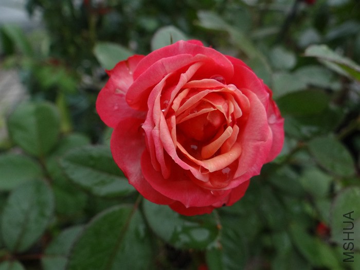 2014-09-1801.jpg