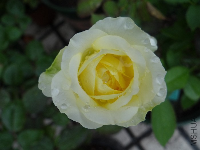 2014-09-1805.jpg