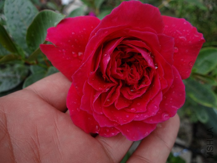 2014-09-1807.jpg