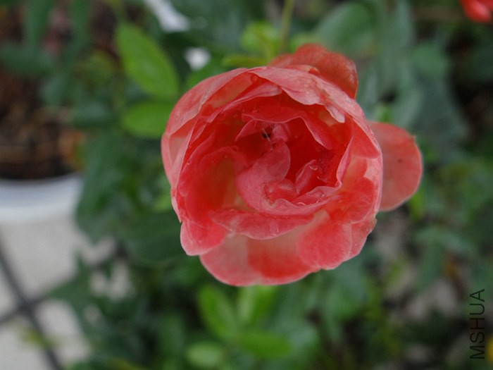 2014-09-1808.jpg