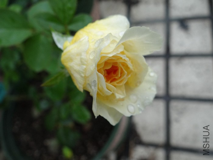 2014-09-1806.jpg