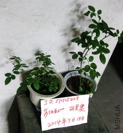 ��Ƭ 055_����.jpg