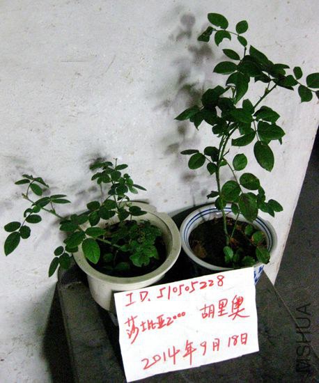 ��Ƭ 059_����.jpg