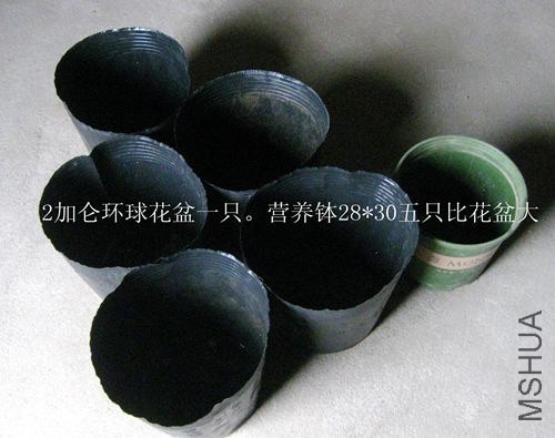 ��Ƭ 062_����.jpg