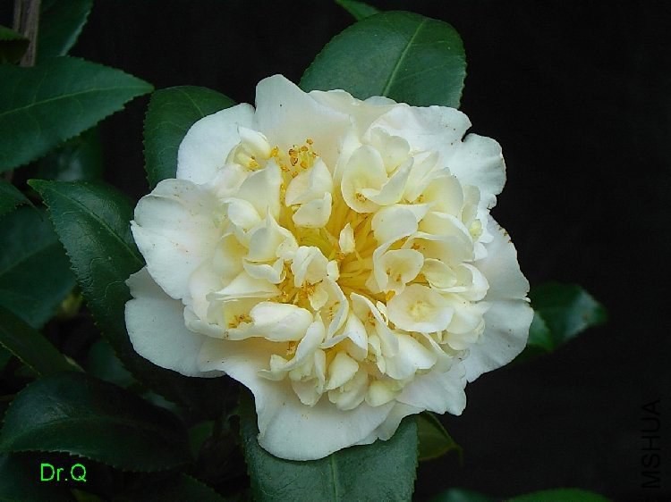 153424bqb0p9acz5zwq009.jpg