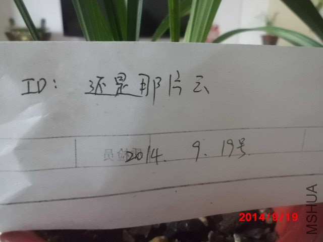 CIMG1882.JPG