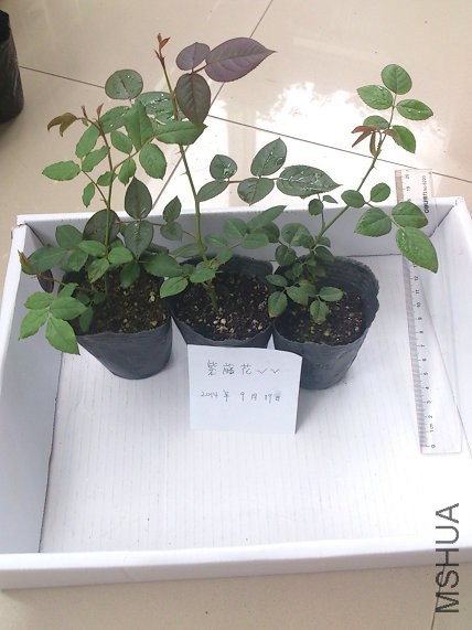 ��֮ˮ��20���ջ���35��������15