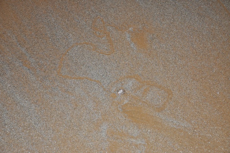DSC_0077.jpg
