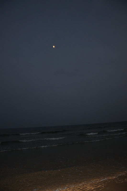 DSC_0080.jpg