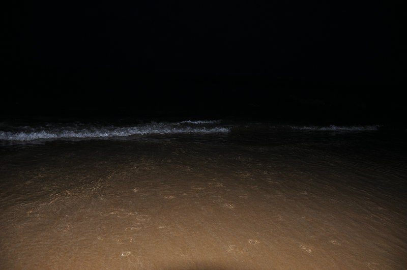 DSC_0087.jpg
