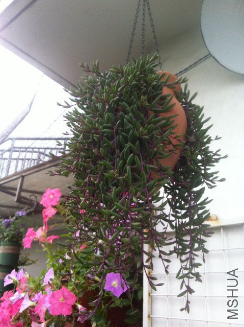 ��Ƭ 005.jpg