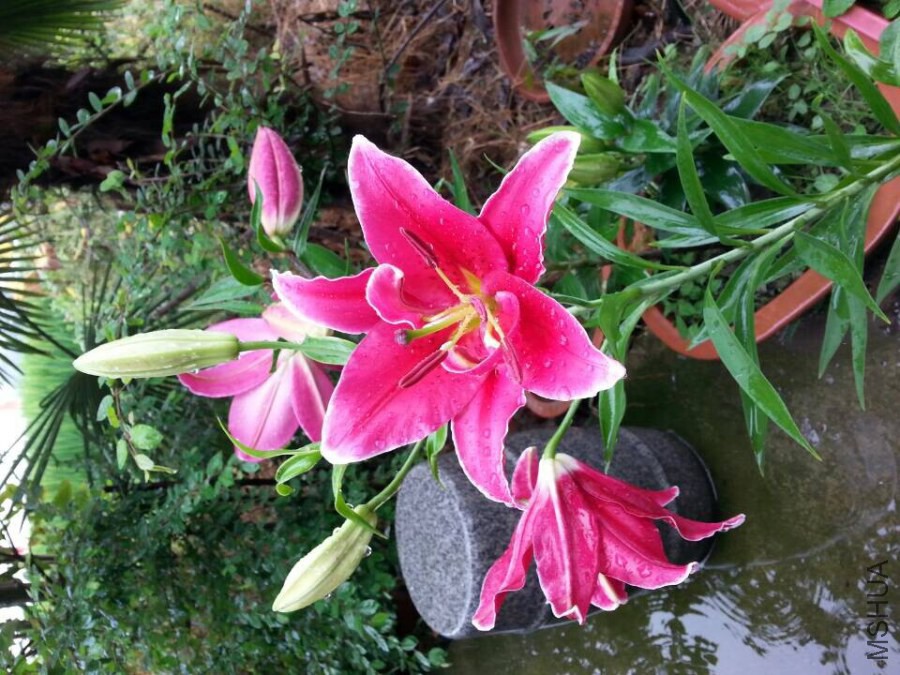 QQͼƬ20140919105922.jpg