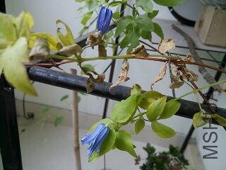 UC_Photo_007.jpg