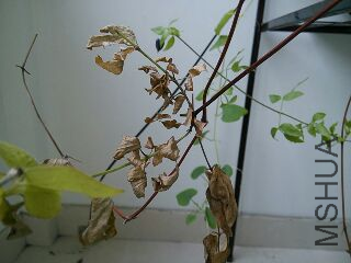 UC_Photo_008.jpg