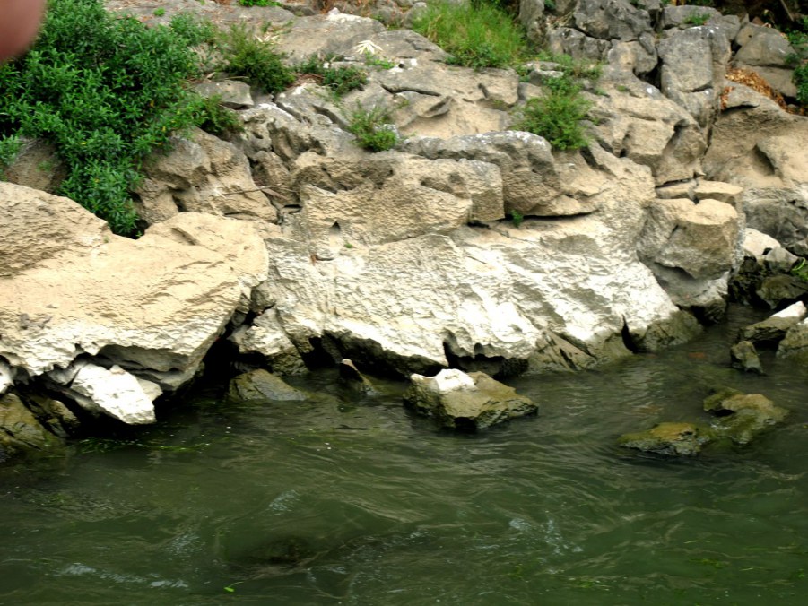 ���� 063_����.jpg