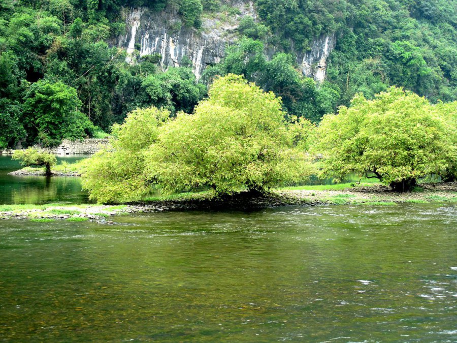 ���� 101_����.jpg