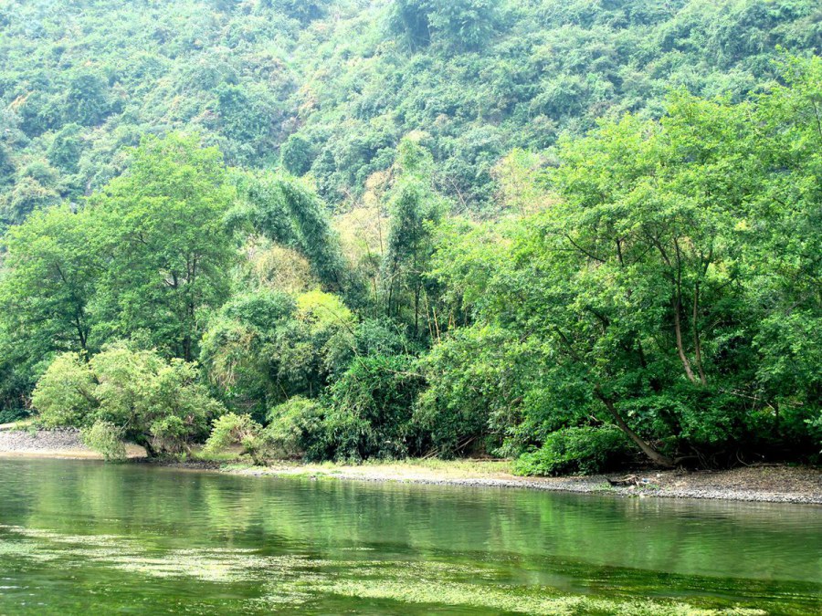 ���� 102_����.jpg