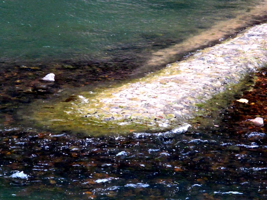 ���� 182_����.jpg