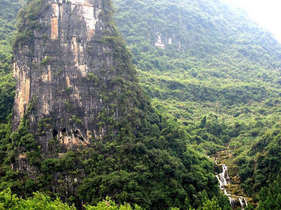 ���� 195_����.jpg