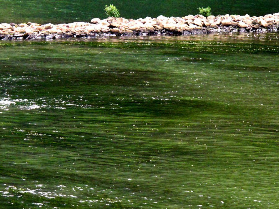 ���� 203_����.jpg