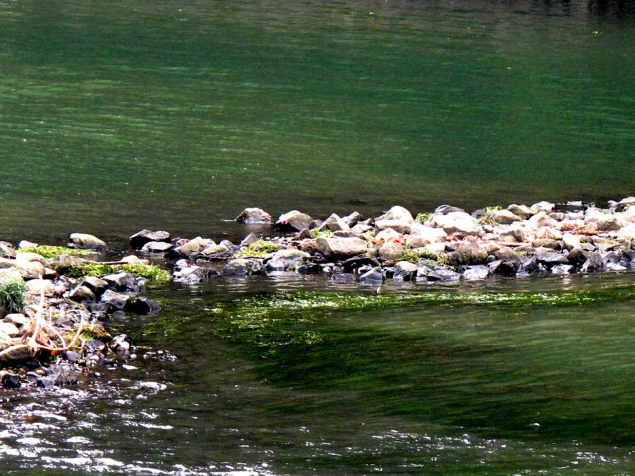 ���� 204_����.jpg