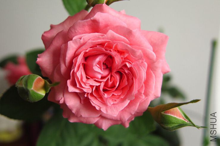 QQ��ͼ20140919185048.jpg