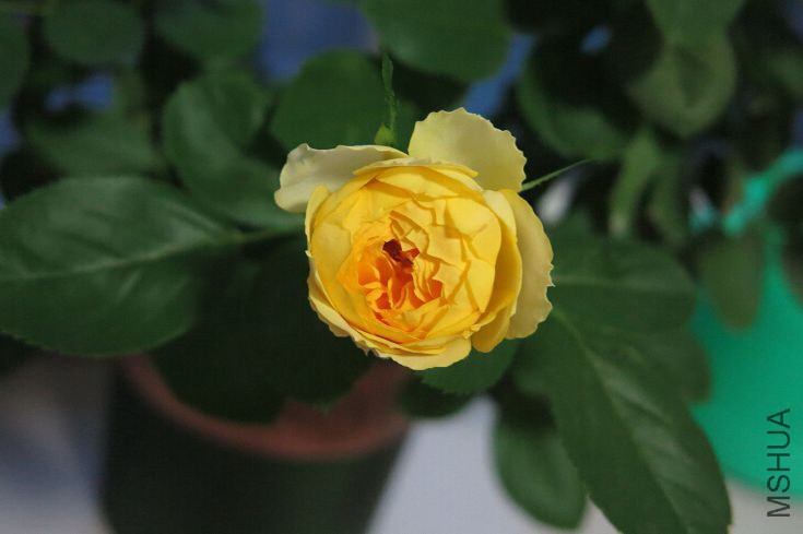 QQ��ͼ20140919185251.jpg