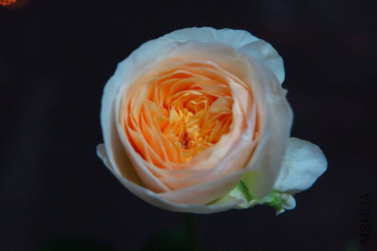 QQ��ͼ20140919185209.jpg