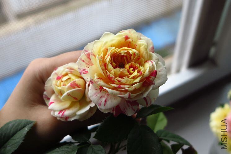 QQ��ͼ20140919190317.jpg