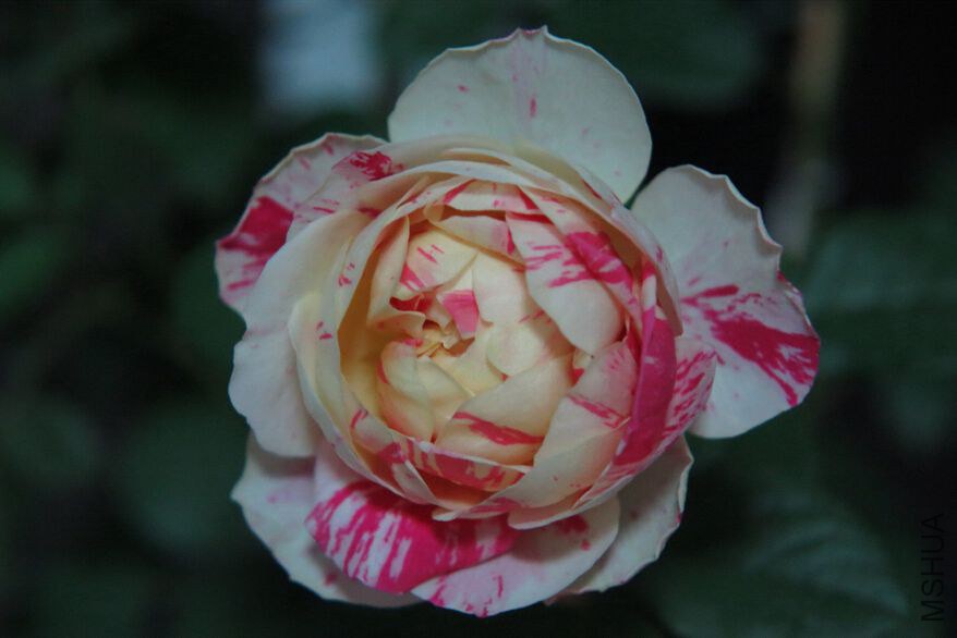 QQ��ͼ20140919185338.jpg