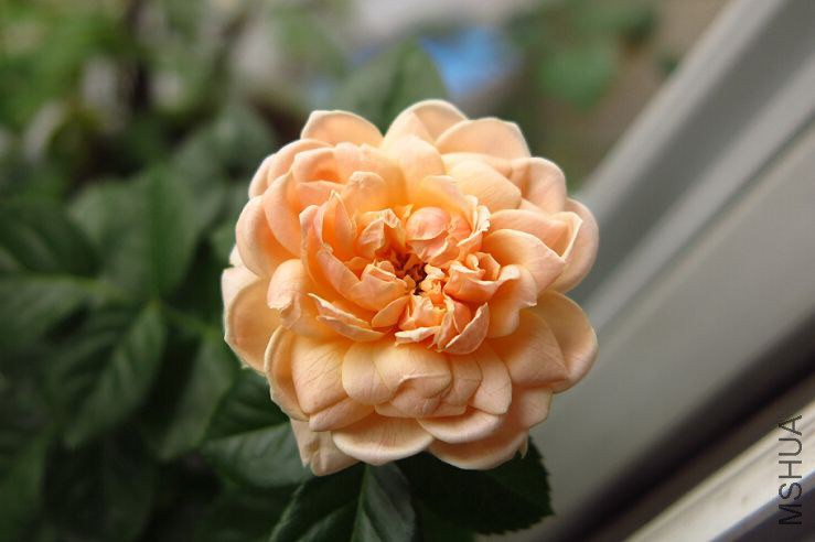 QQ��ͼ20140919185109.jpg