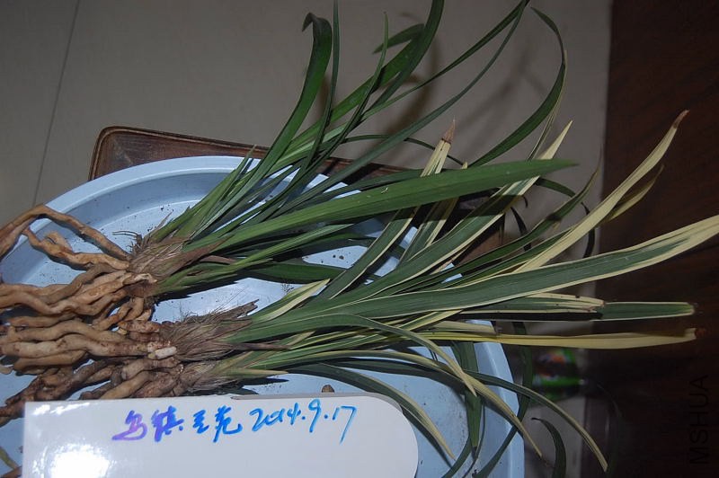DSC_00120012.JPG
