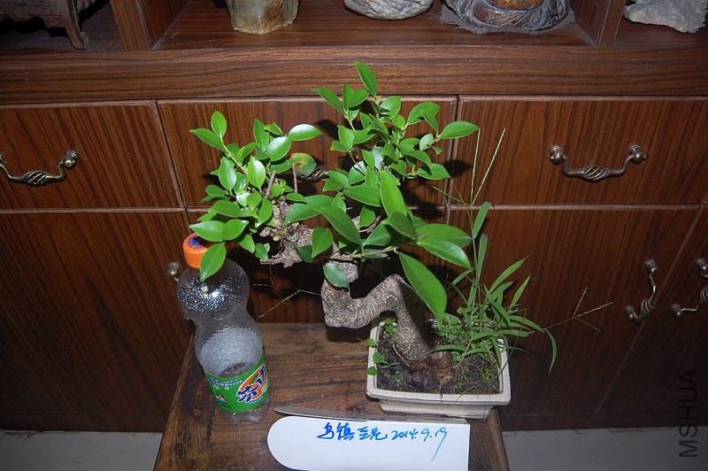 DSC_00090009.JPG