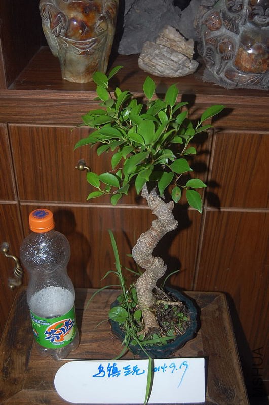 DSC_00020002.JPG
