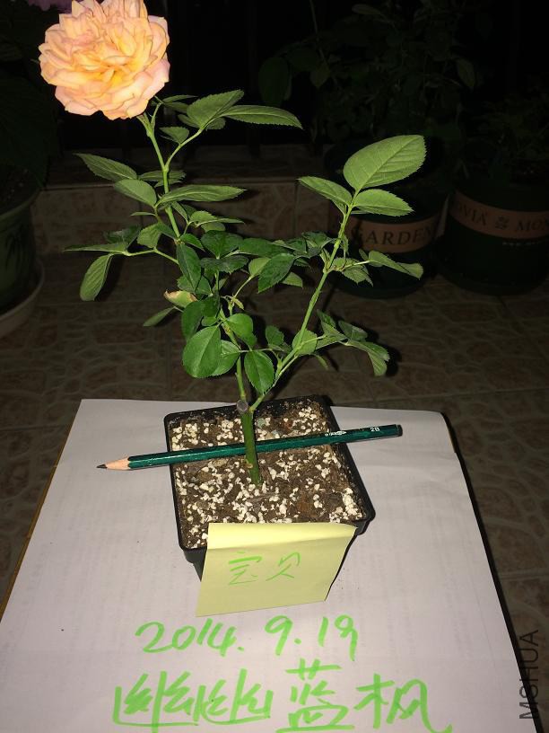 ��������     28
