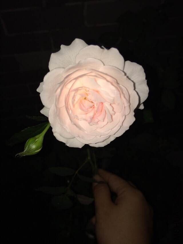 QQͼƬ20140919212627.jpg