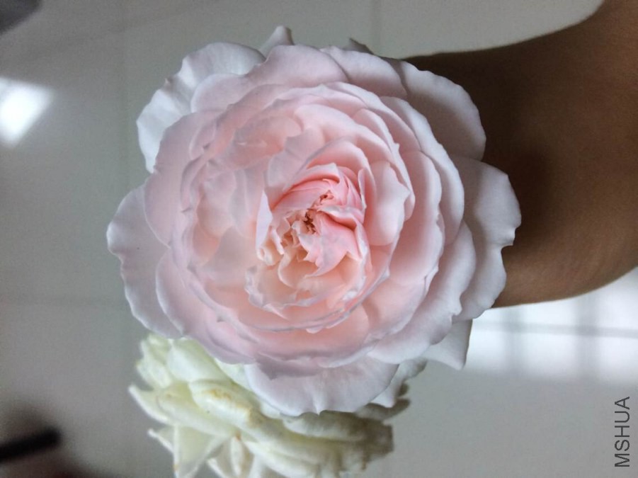 QQͼƬ20140919212606.jpg