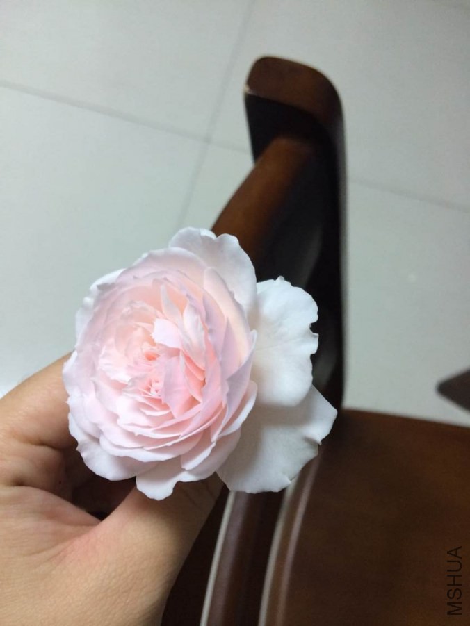 QQͼƬ20140919212631.jpg