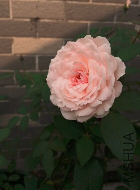 QQ��ͼ20140919213506.jpg