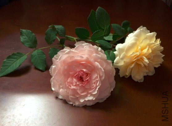 QQ��ͼ20140919213538.jpg