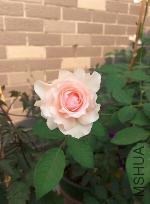 QQ��ͼ20140919213557.jpg